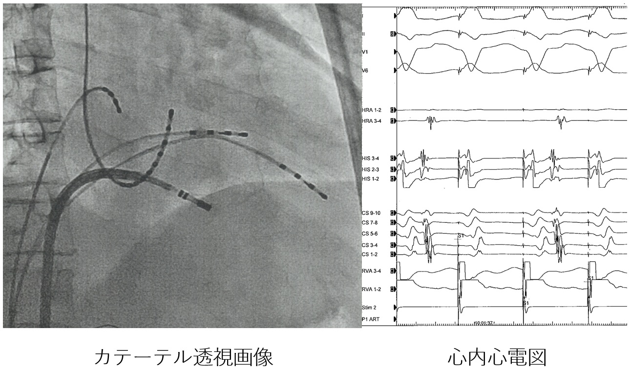 治療・検査の実際