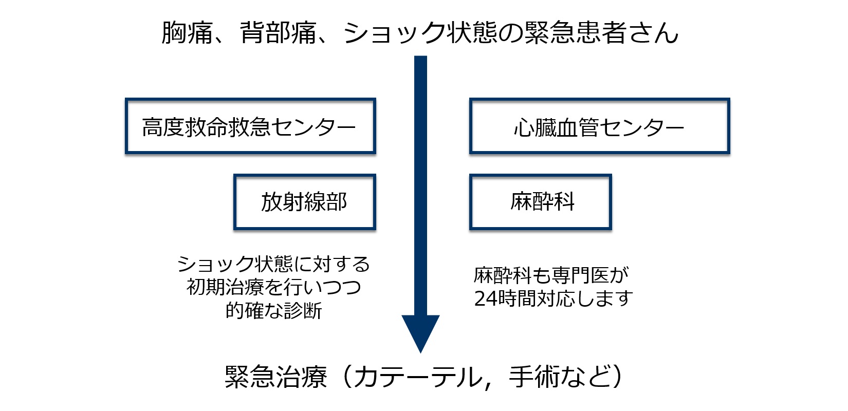 チーム力であらゆる循環器疾患に対応｜チーム医療